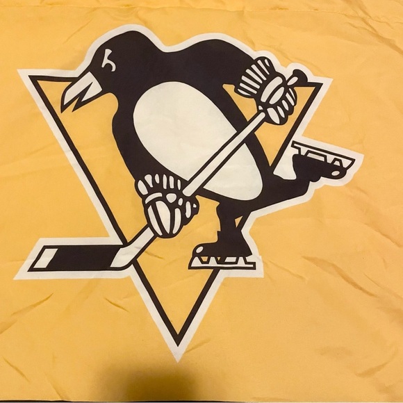 Lot of 2 Pittsburgh Penguins NHL Hockey Pillow Cases Northwest Standard Size - Picture 3 of 16